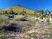 East slope Pacific Crest, Walker Pass