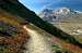 Johnston Ridge Trail and Mt. St. Helens