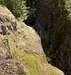 Moss Covered Rocks Along Box Canyon