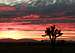 Saddleback Sunset II