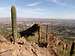 Looking out over Scottsdale