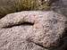 Sandia Granite
