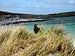 Falklands Fauna - Striated Caracara