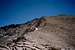 West slope of Mt. Barnard...