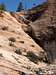 Cockeyed Falls - Zion NP