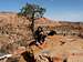 'Top of Rocks' Water Canyon