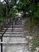 Looking up the steps of Mount Bonnell