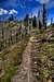 Granite Creek Trail
