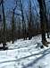 Winter on Sherman Gap Trail
