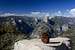 A pine cone's view of Yosemite