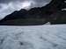 Lateral Moraine on Blue Glacier