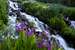 Indian Peaks Wilderness 