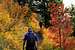 Hiking through the start of Utah's Fall Colors