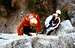 CHENAUX's on rocky plate up the cliff of 20 metres on 1978