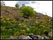 Spring below Mont Lozere