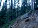 Humphreys Peak Trail