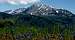 Mount Nebo from Bald Mountain overlook