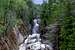 Rushing Adirondack Stream 