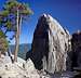 Castle Domes' Half Dome-ish  north face