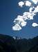 Gentle clouds over Sepregina (5432m)