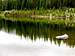 Reflections in Sandbeach Lake