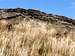 Mount Wetlinska Meadow - Our hike – September 17, 2011.