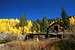 Cabin and aspens