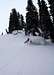 Troy Skiing Powder