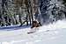 Troy skiing Beartrap