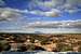 Navajo Mountain from AZ 98 