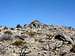 Looking up at the true summit of Hungry Mountain 5,947'