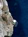 Porto Sciusciau Cliff, Sardinia West Coast