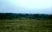 The grassy plains of Arusha...