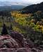 Streaks of aspen down the...