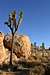 Bouldering paradise near Lost...