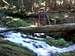 Crossing the Sol Duc