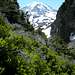 Rainier from Mother Mountain