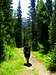 Hiking White Pine