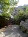 The huge boulder at the start of the canyon. Some folks climb it too !