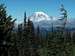 Mount Rainier from the PCT near Hogback