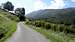 Bucolic Pyrenean roads