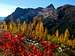Fall Colors Porcupine Peak