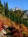 Columbia Peak - Fall Colors