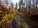 Trail on Gromnik in autumn