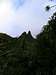 Jungle peak in the mountains of Kauai, near the Na Pali coast