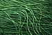 Sea Grass Tangle