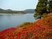 Fall colors at Pactola Lake