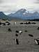 Tierra del Fuego Province