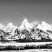 The Tetons