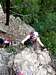 A happy climber on the Lehner Wasserfall Via Ferrata